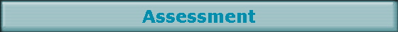 Assessment
